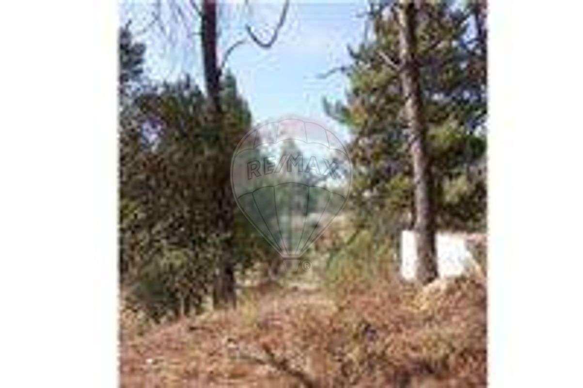 Terreno  para venda - Grande imagem: 3/6