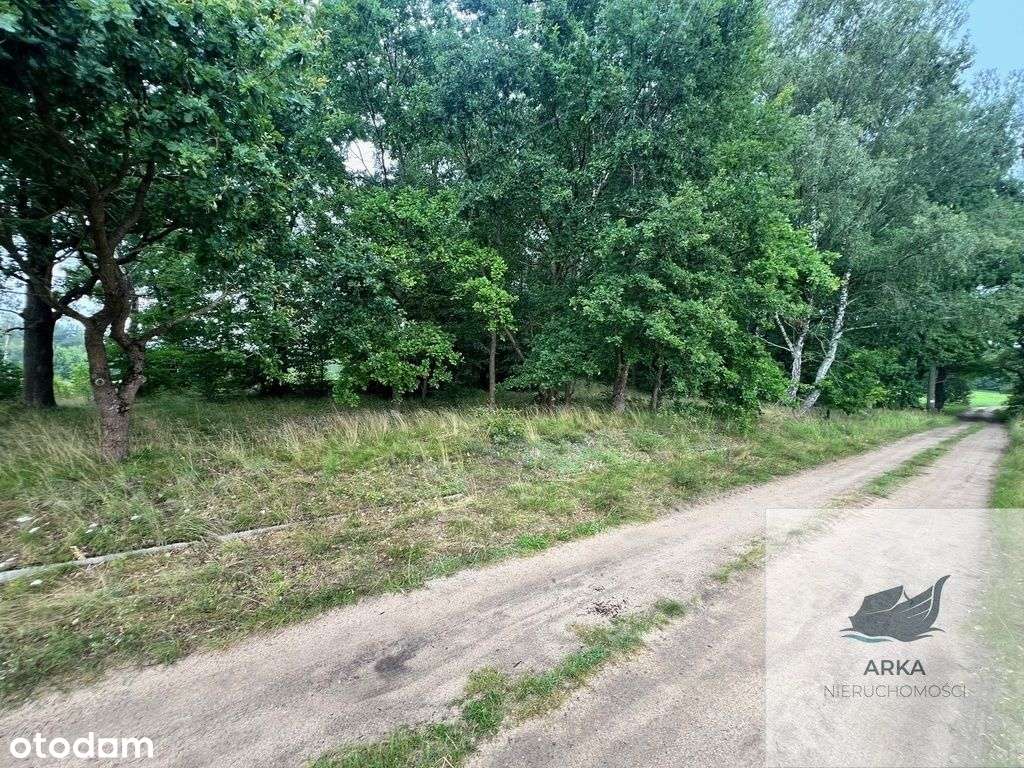 Storkowo, działka 3566 m2 z mediami - Pełny obrazek: 4/8