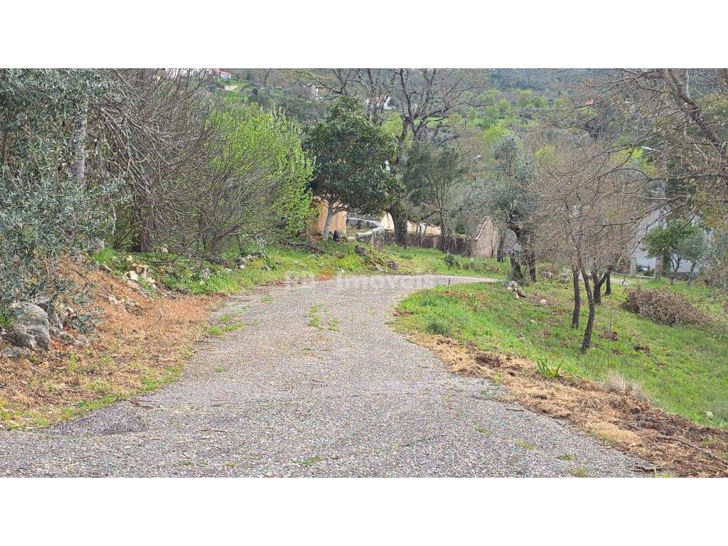 Casa de campo com mais de 1 hectare de terreno - Quebrada de Cima, ...-18