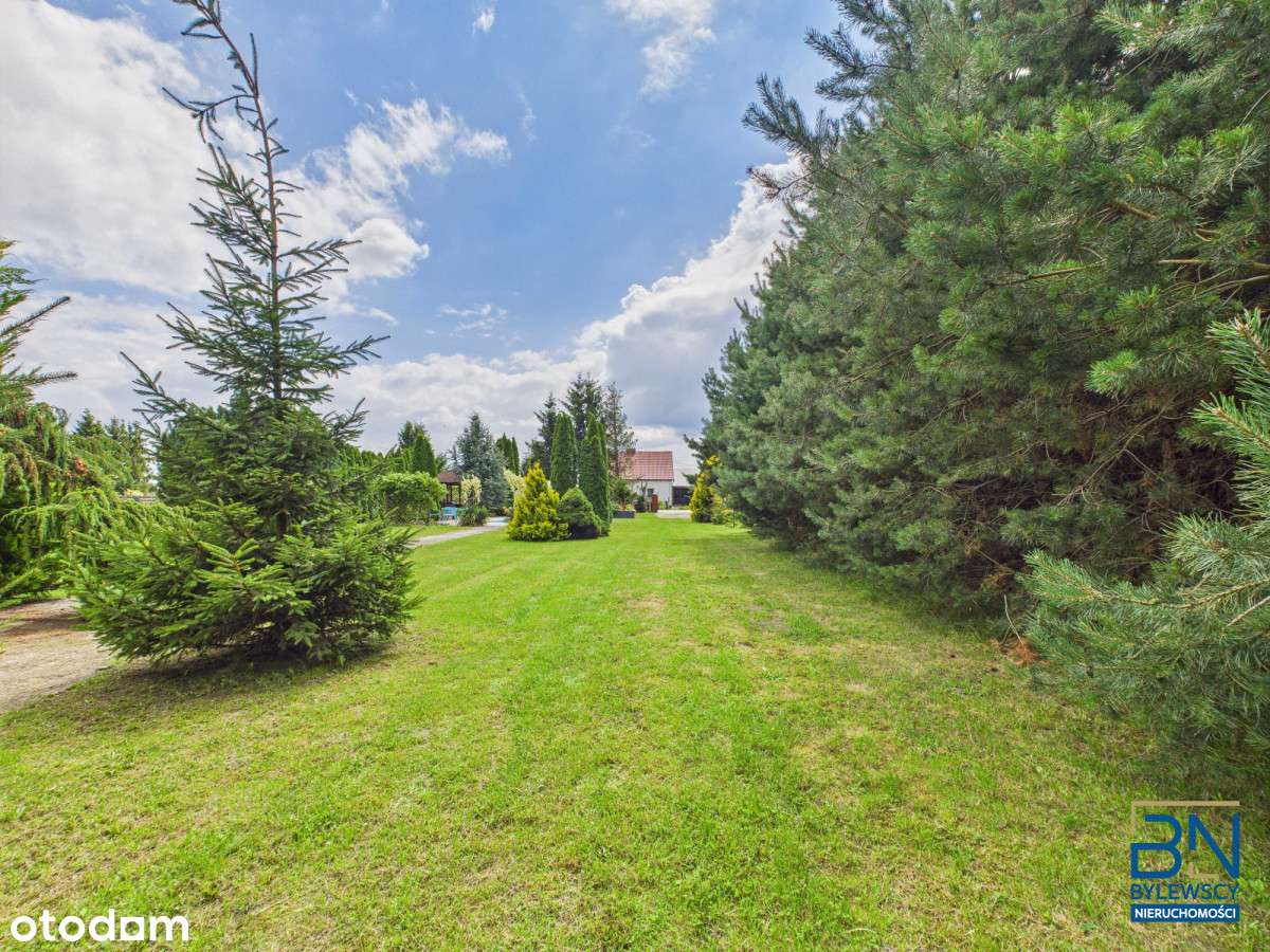 Las | Basen | Domek | Ustronie, gm. Borek Wlkp.-9