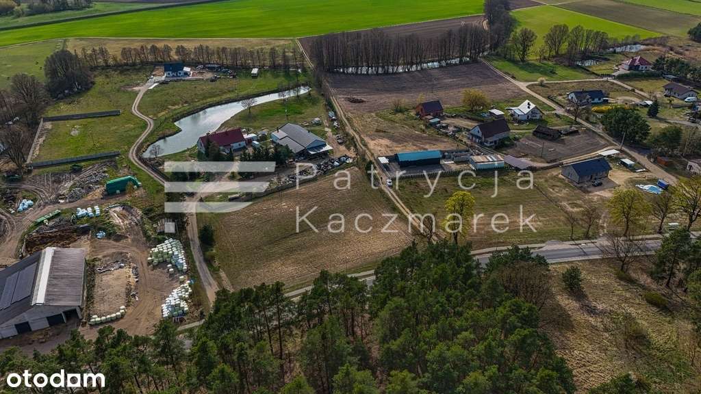 Duża działka przy Puszczy Noteckiej - Pełny obrazek: 5/6