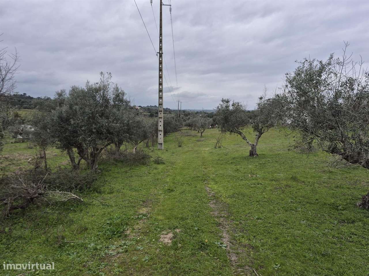 Quinta - Grande imagem: 4/14