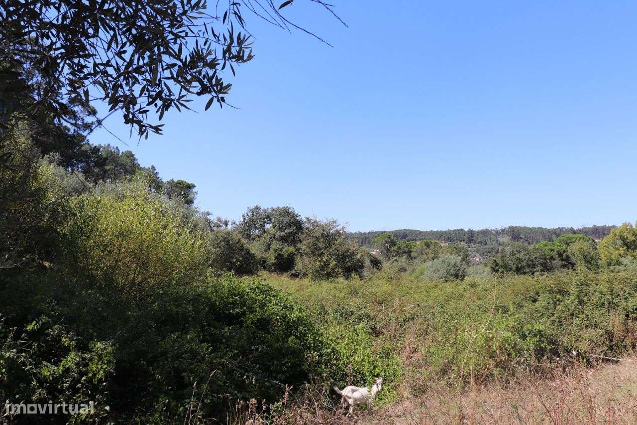 Terreno em Casal dos Crespos! - Grande imagem: 2/3