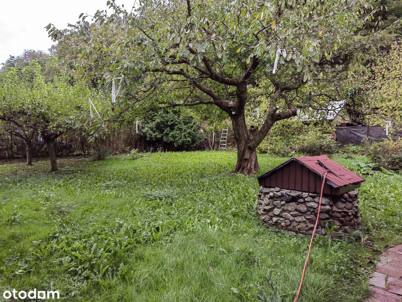 Dom w Bielawie z widokiem na Góry 160 m², 5 pok. ogród, taras, garaż - Pełny obrazek: 4/20