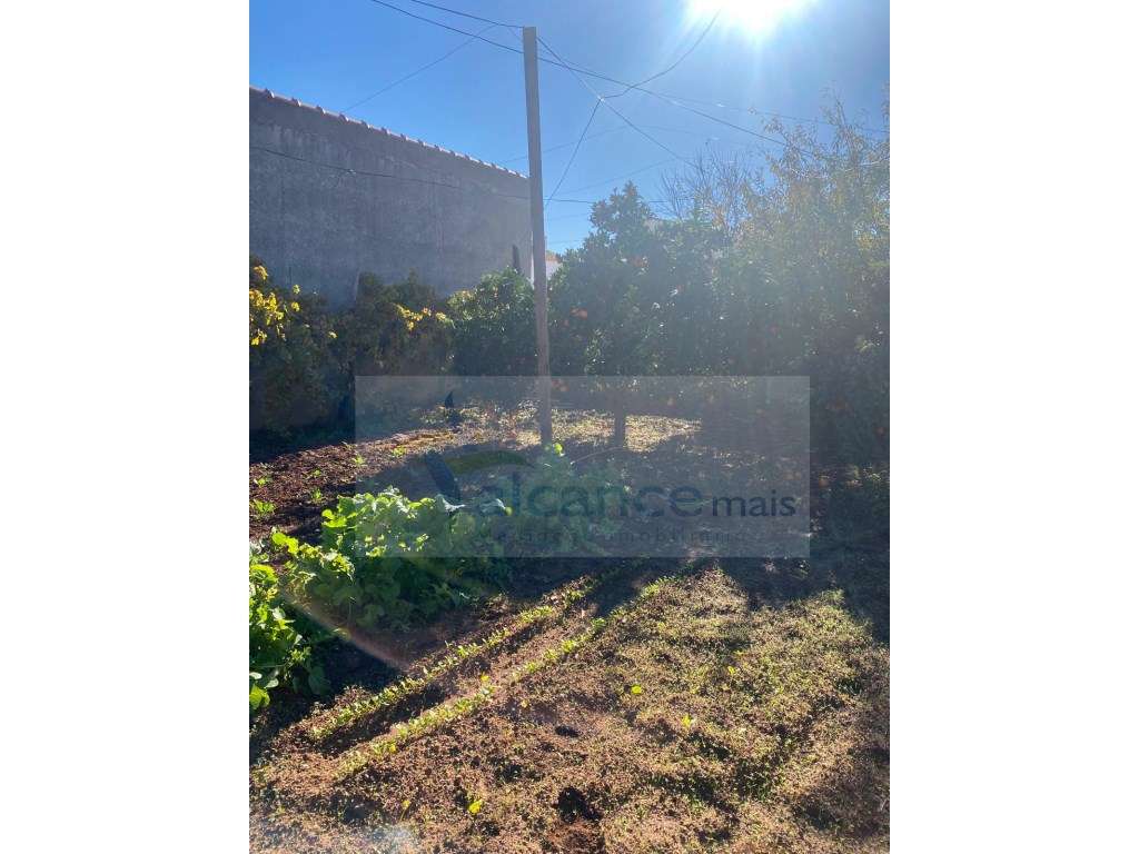 Moradia T3 com Quintal Amplo e Garagem - Oportunidade para Remodela...-9