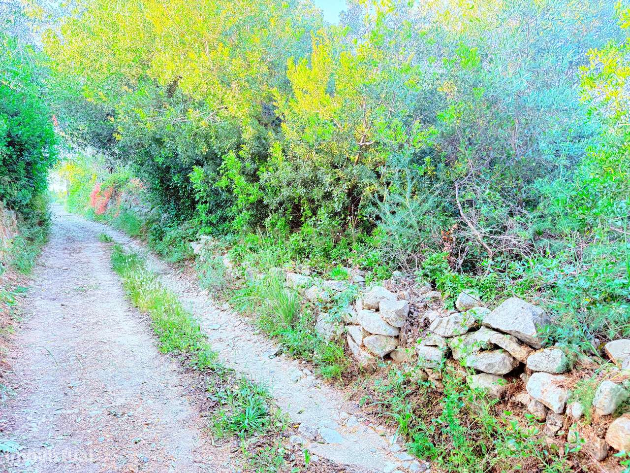Terreno com Vista Mar - Zona Privilegiada de Moncarapacho - Grande imagem: 5/6