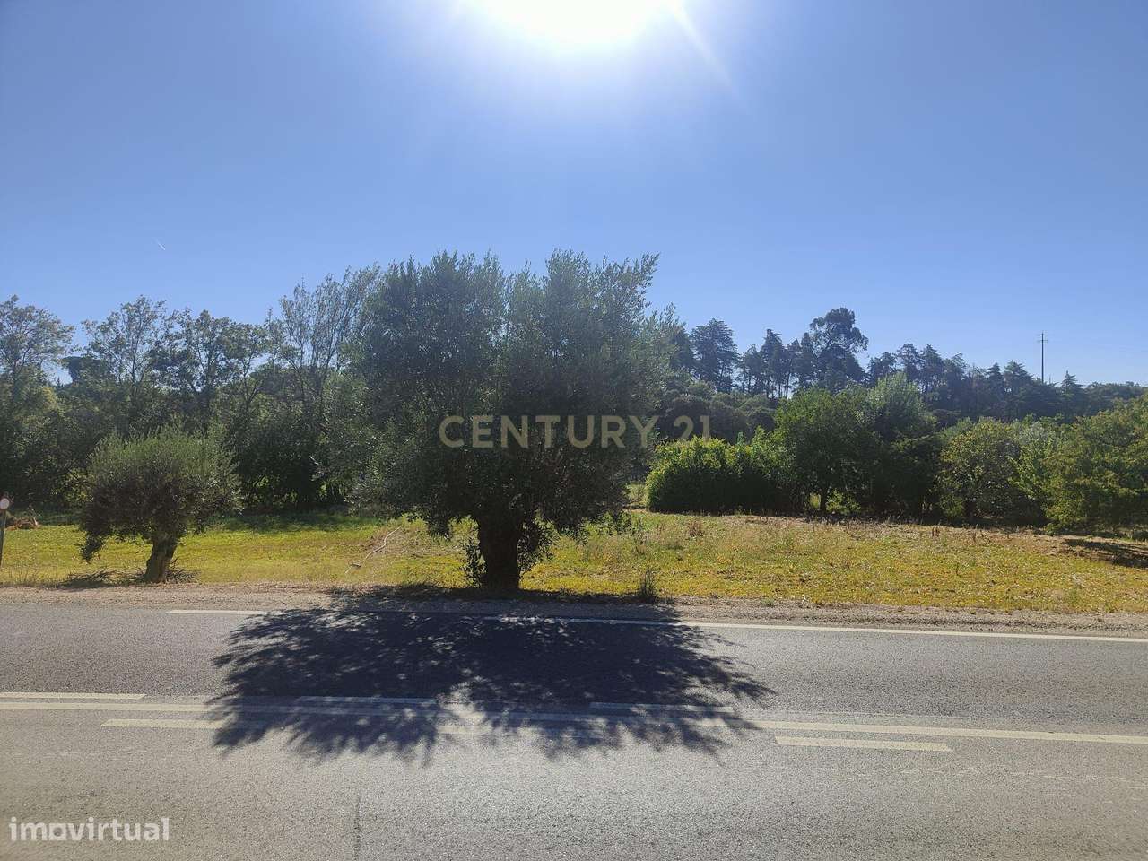 Terreno Chancelaria, Torres Novas - 12.680 m² - Grande imagem: 5/34