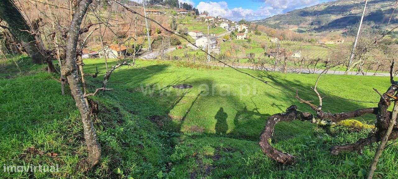 Quinta / Marco de Canaveses, Penhalonga e Paços de Gaiolo - Grande imagem: 5/6