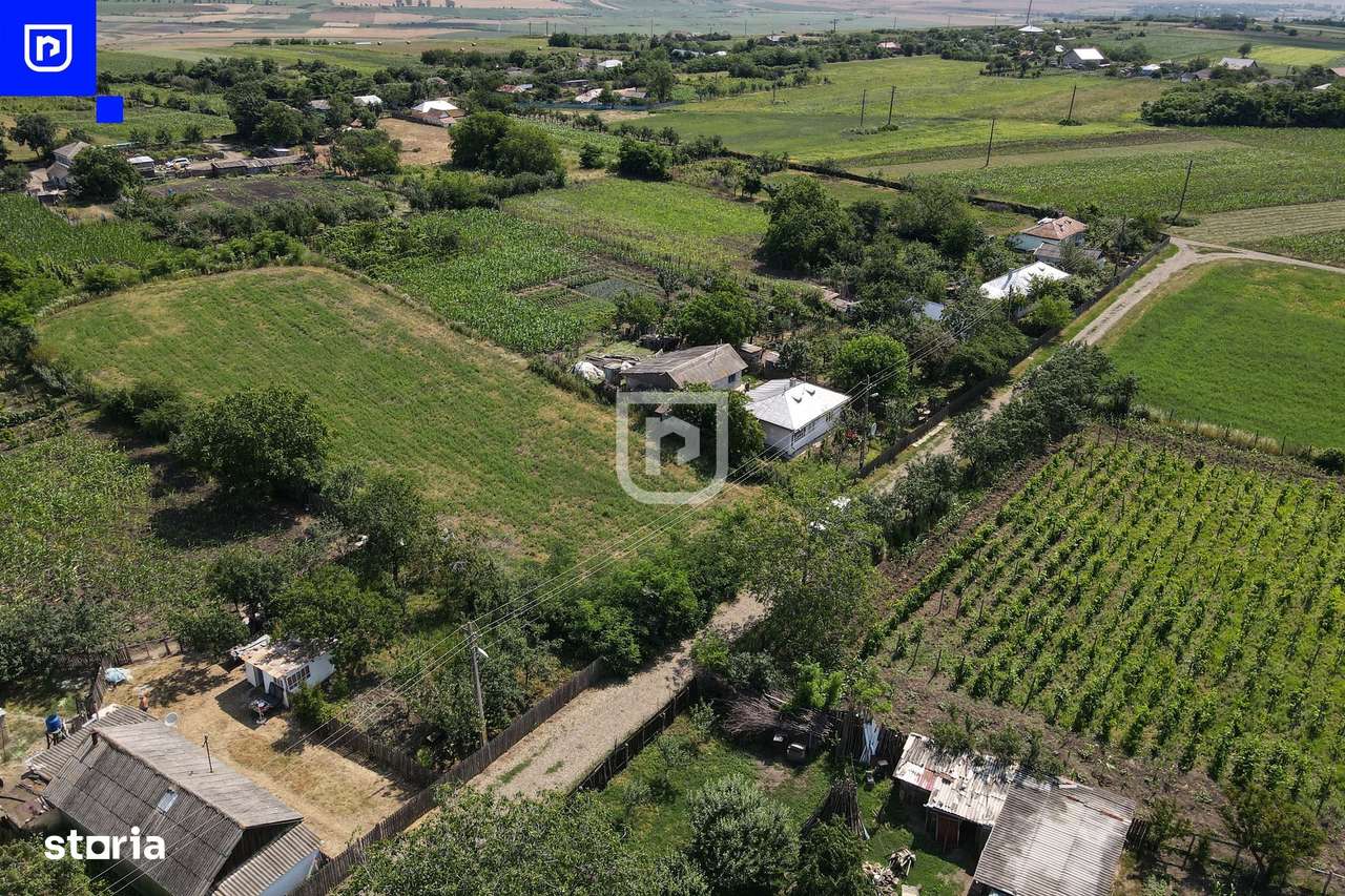 Teren - Ionășeni | BOTOȘANI | 3.285mp - Imagine principală: 4/8