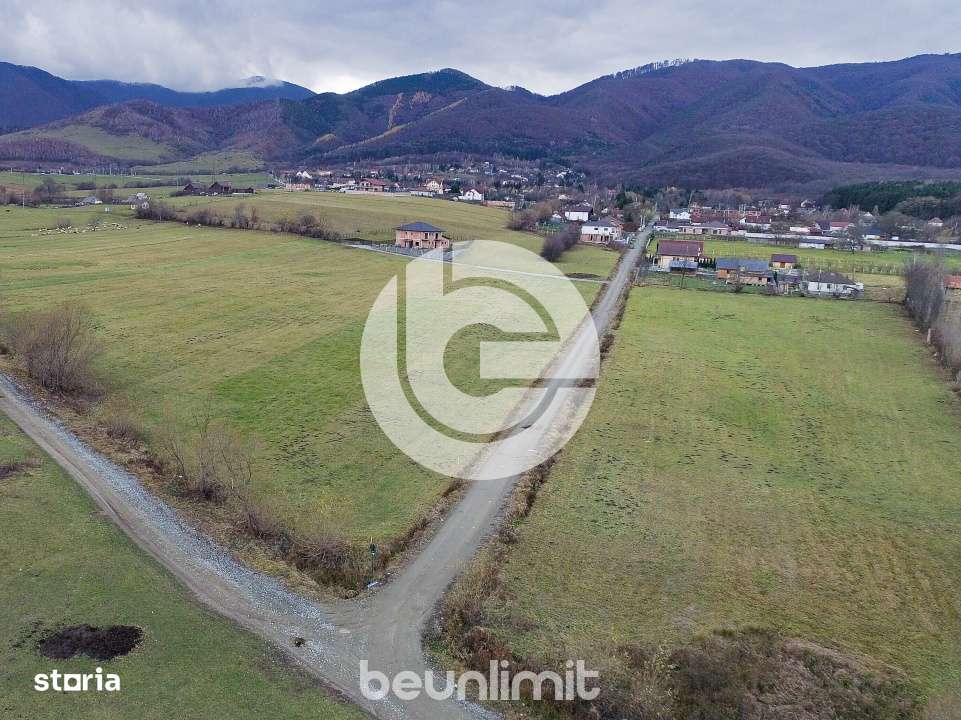Teren intravilan in Tocile - 4354 m² - 2 fronturi - 49 euro/mp-6