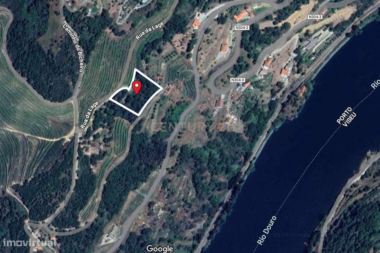 Terreno de uso múltiplo: agrícola e florestal em Santa Marinha do Zêze - Grande imagem: 4/32