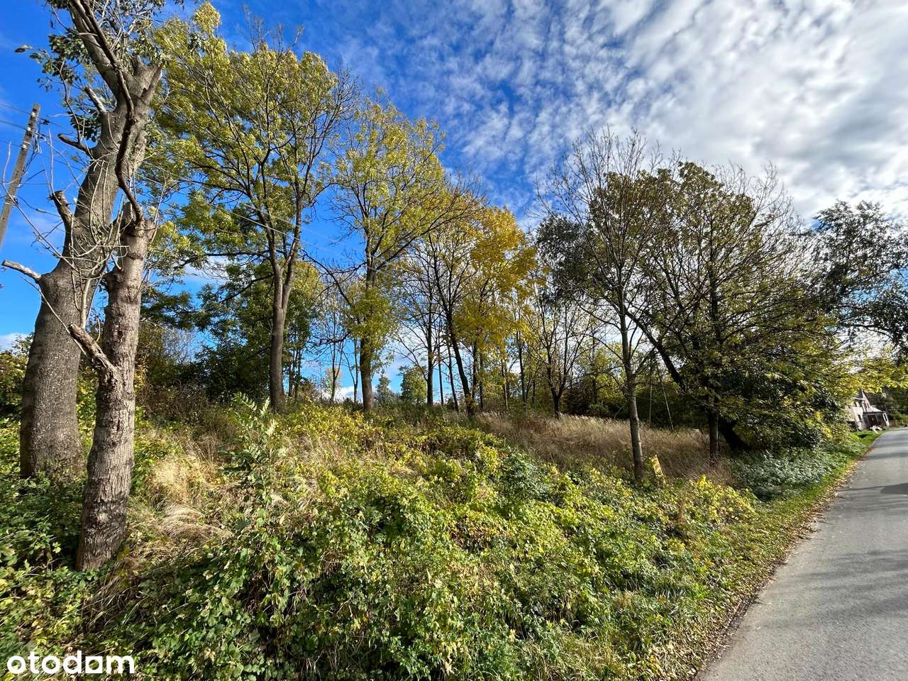 Widokowa działka budowlana- 4096m2, Płonica, 57-250 Złoty Stok - Pełny obrazek: 1/14