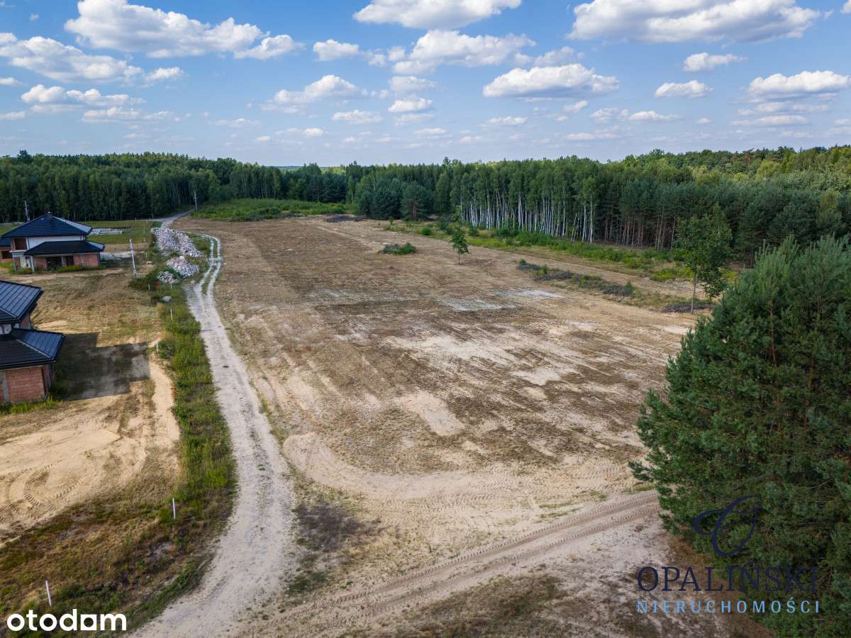 Otoczenie lasu | Cicha okolica | Mpzp | Inwestycja-3
