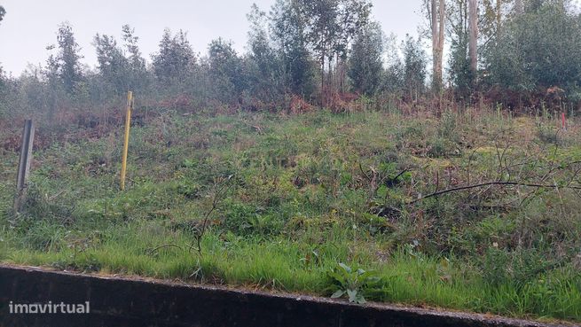 Terreno Rustico em Crestuma, Vila Nova de Gaia-12