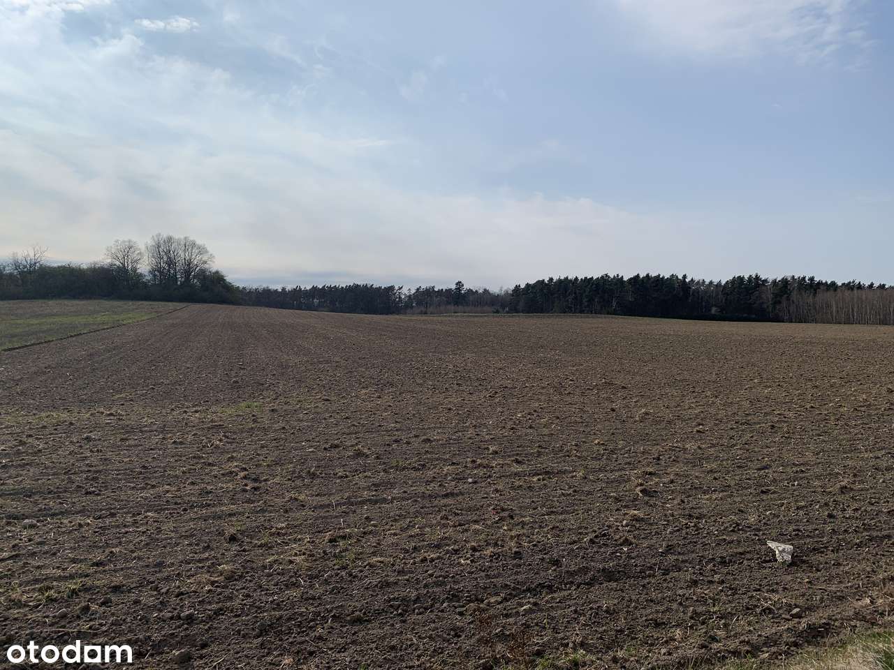 Działki rolne w Pątnowie Legnickim-1