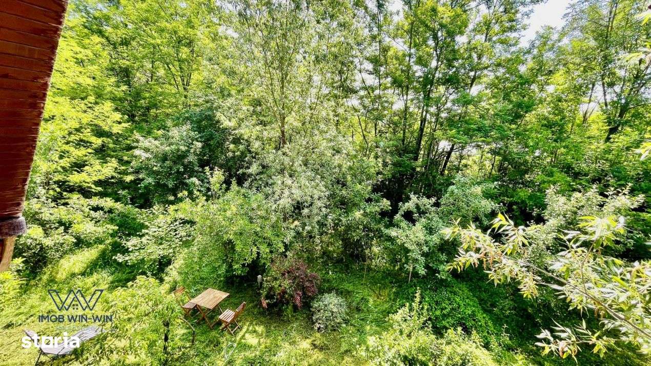 Casa Vacanta Babana!-5