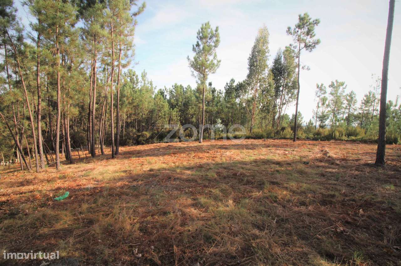 Terreno rústico urbanizável | Santiago da Guarda, Ansião-1