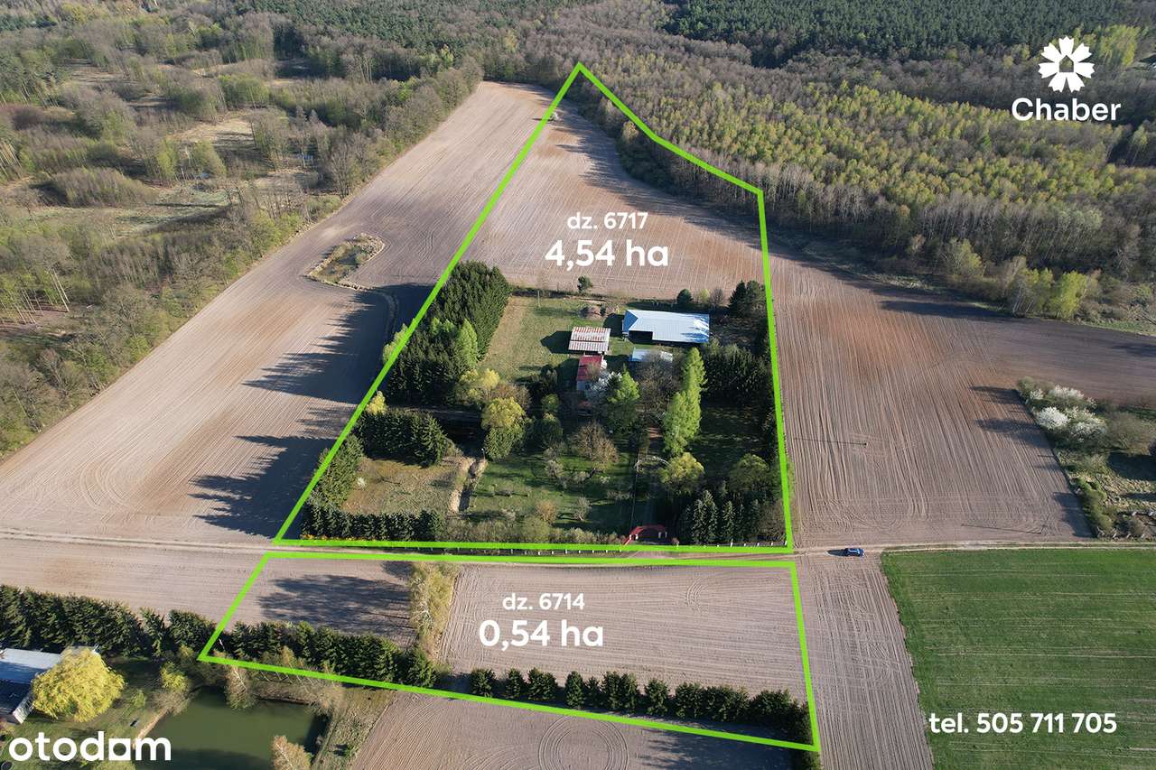Siedlisko 5 ha, leśniczówka, stadnina na Mazowszu pod Gostyninem