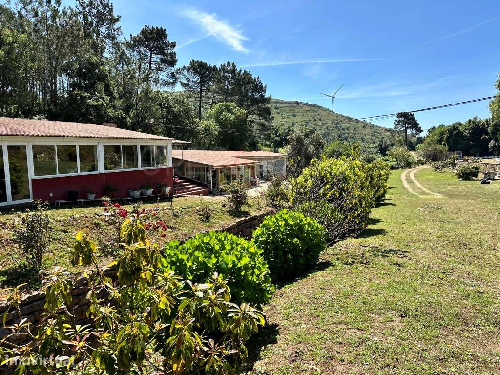 Quinta - Quintinha - Moradia-14