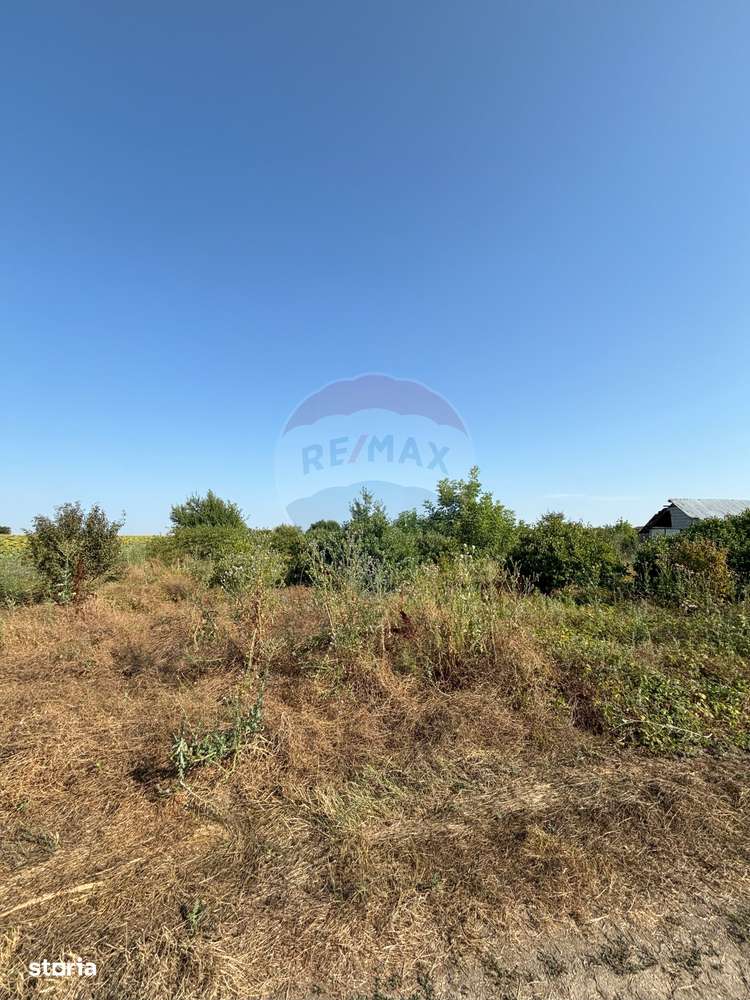 Teren Tartasesti langa complex Buna Ziua - Imagine principală: 3/5