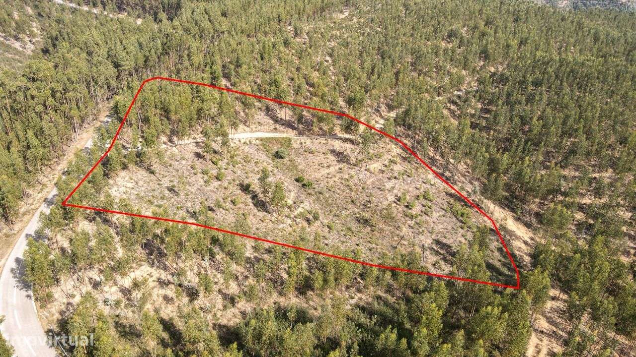 Terreno Rústico em Cernache do Bonjardim, Sertã! - Grande imagem: 3/10