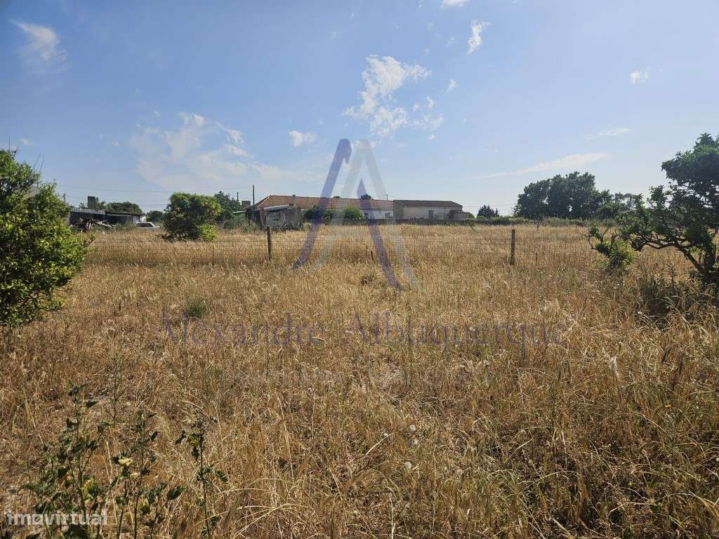 Quinta com 3 Habitações | Pinhal Novo | Terreno 5.400 m²-19