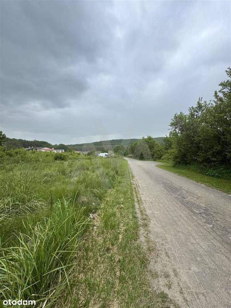 ??Działka Rolna | Klasa III | Blisko Lasu?? - Pełny obrazek: 4/12