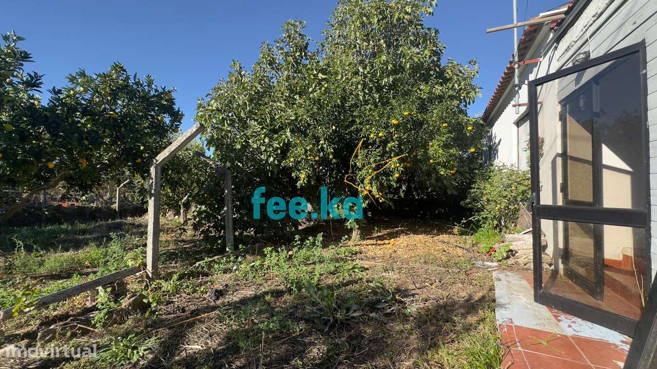 Quintinha T1 em Palvarinho-2