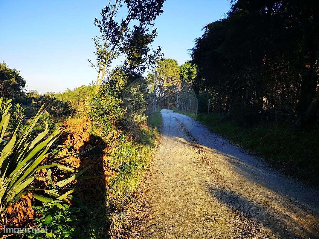 Terreno  para venda - Grande imagem: 5/7