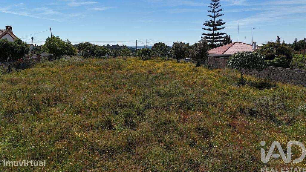 Terreno em Coruche, Fajarda e Erra de 6250,00 m2 - Grande imagem: 4/30
