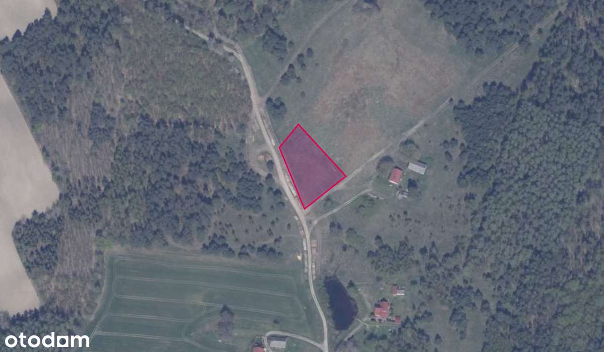 Działka 77/1 w miejscowości Błotnia - Pełny obrazek: 2/2