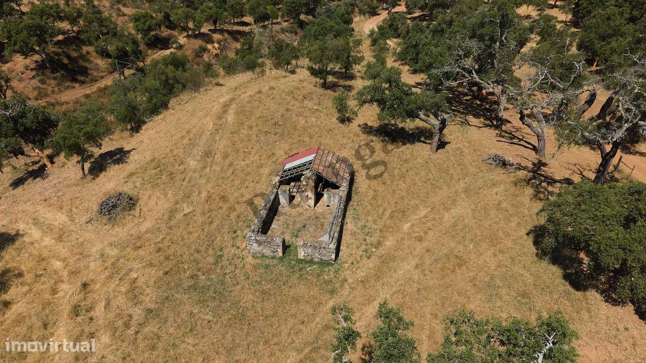 Monte Alentejano com propriedade de 13 HA-19
