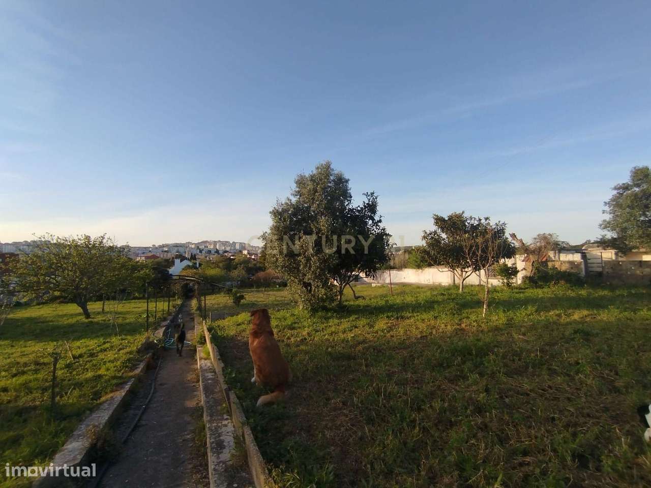 Quinta á venda em Queluz, Sintra - Grande imagem: 4/7