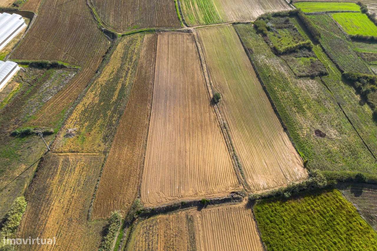 Terreno com bom potencial - Grande imagem: 2/10
