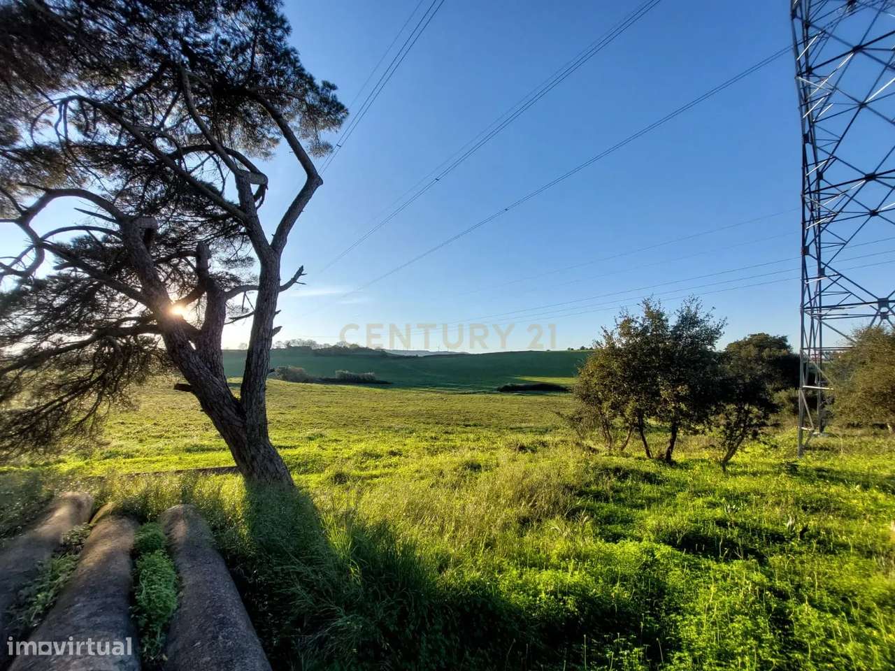 Quinta - 25 hectares-36