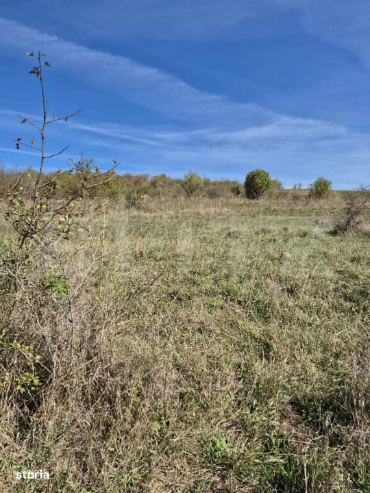 Parcela 12000 mp teren intravilan de vanzare in Livezeni - Imagine principală: 5/5