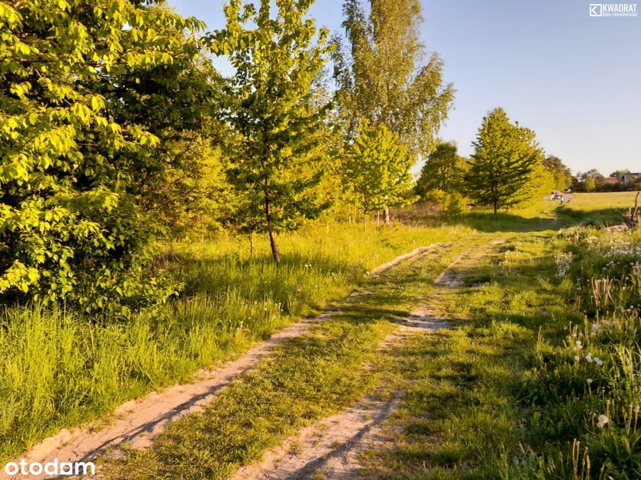 Działka budowlana o pow. 2 970 m2/ Ryki