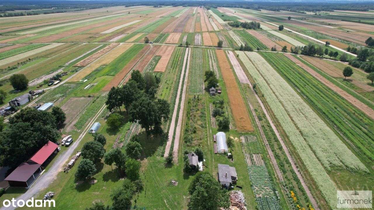 Działka pod zabudowę w spokojnej miejscowości - Pełny obrazek: 4/14