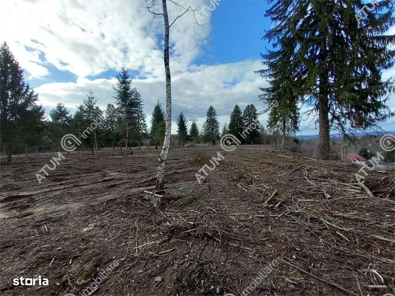 Teren intravilan 2000 mp de vanzare pe Valea Avrigului loc Avrig - Imagine principală: 1/6