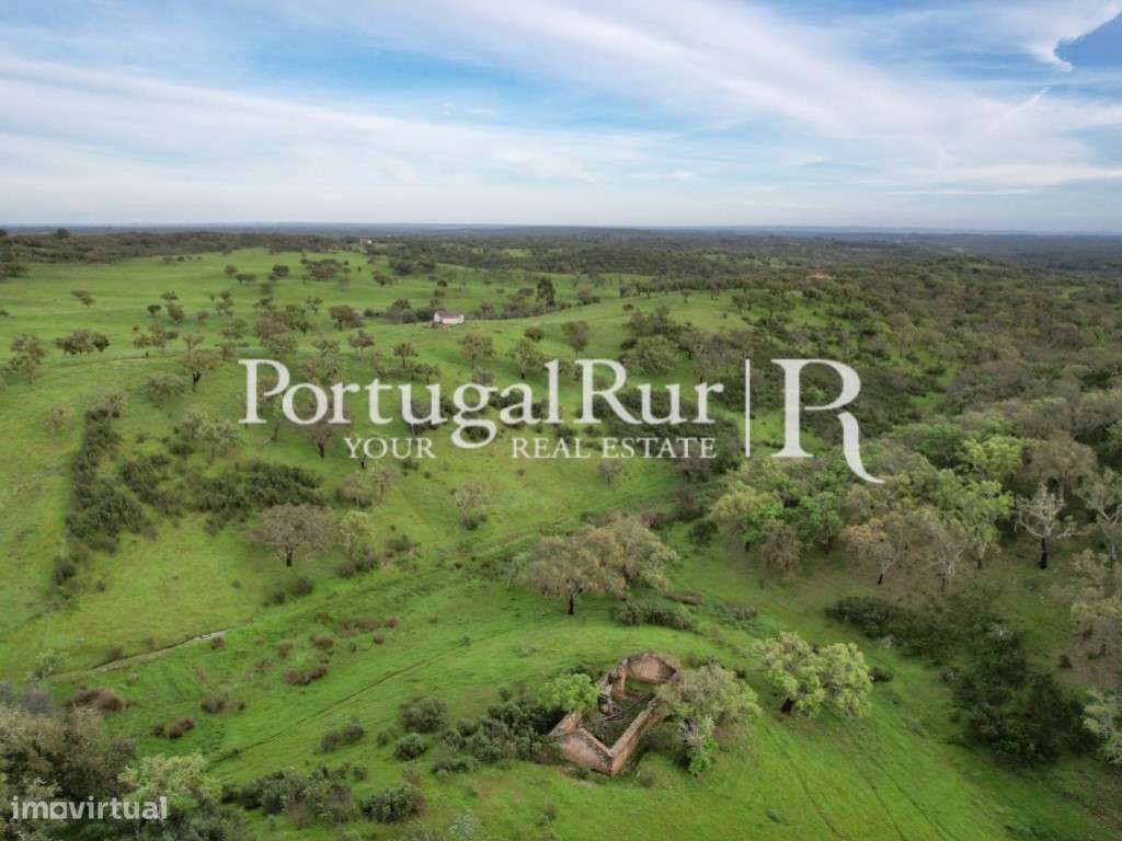 Monte das Colinas - 13.5 Hectares - São Bartolomeu da Serra - Grande imagem: 4/36