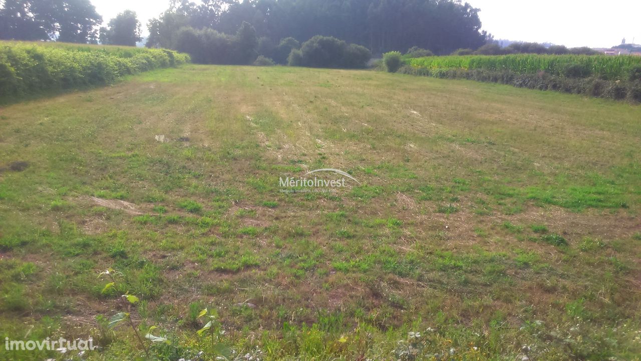 Terreno agrícola a beira do Rio Ave