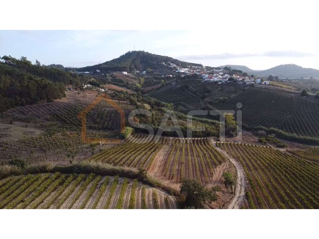 TERRENO RUSTICO - Grande imagem: 4/10