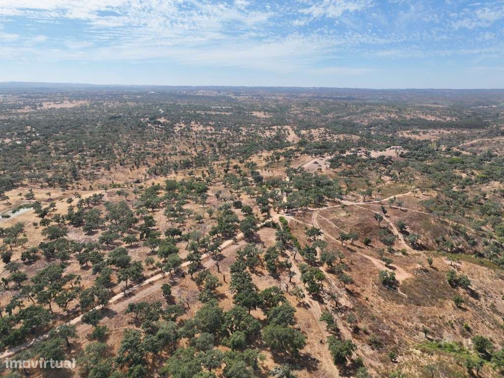 HERDADE COM 100 HECTARES E BASTANTE ARBORIZAÇÃO-53