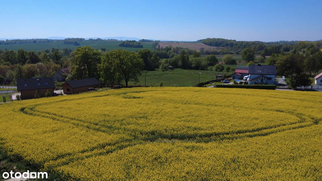 Piękne działki w pod Ślężą bez PCC, BEZPOŚREDNIO - Pełny obrazek: 4/13