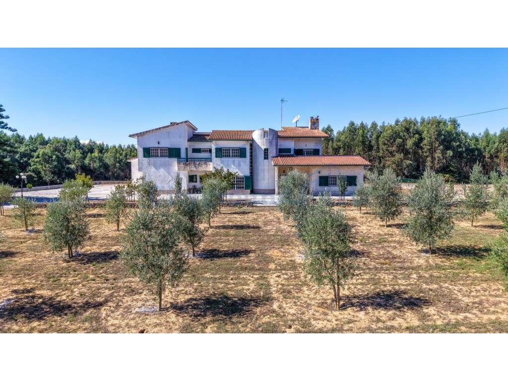 Quinta com 3,14 Hectares e Piscina | Ferreira do Zêzere-57