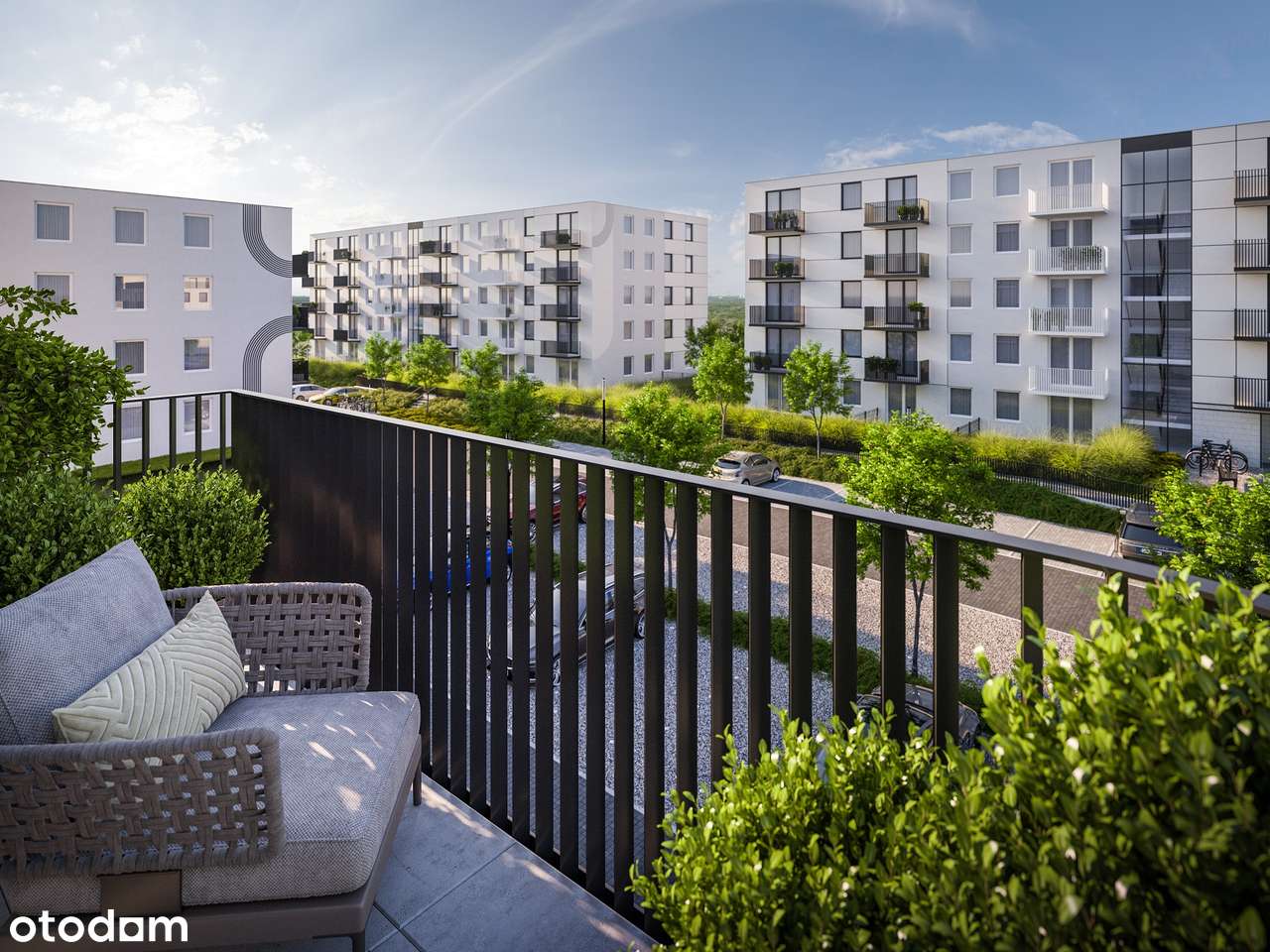 Altro - Pełny obrazek: 4/18