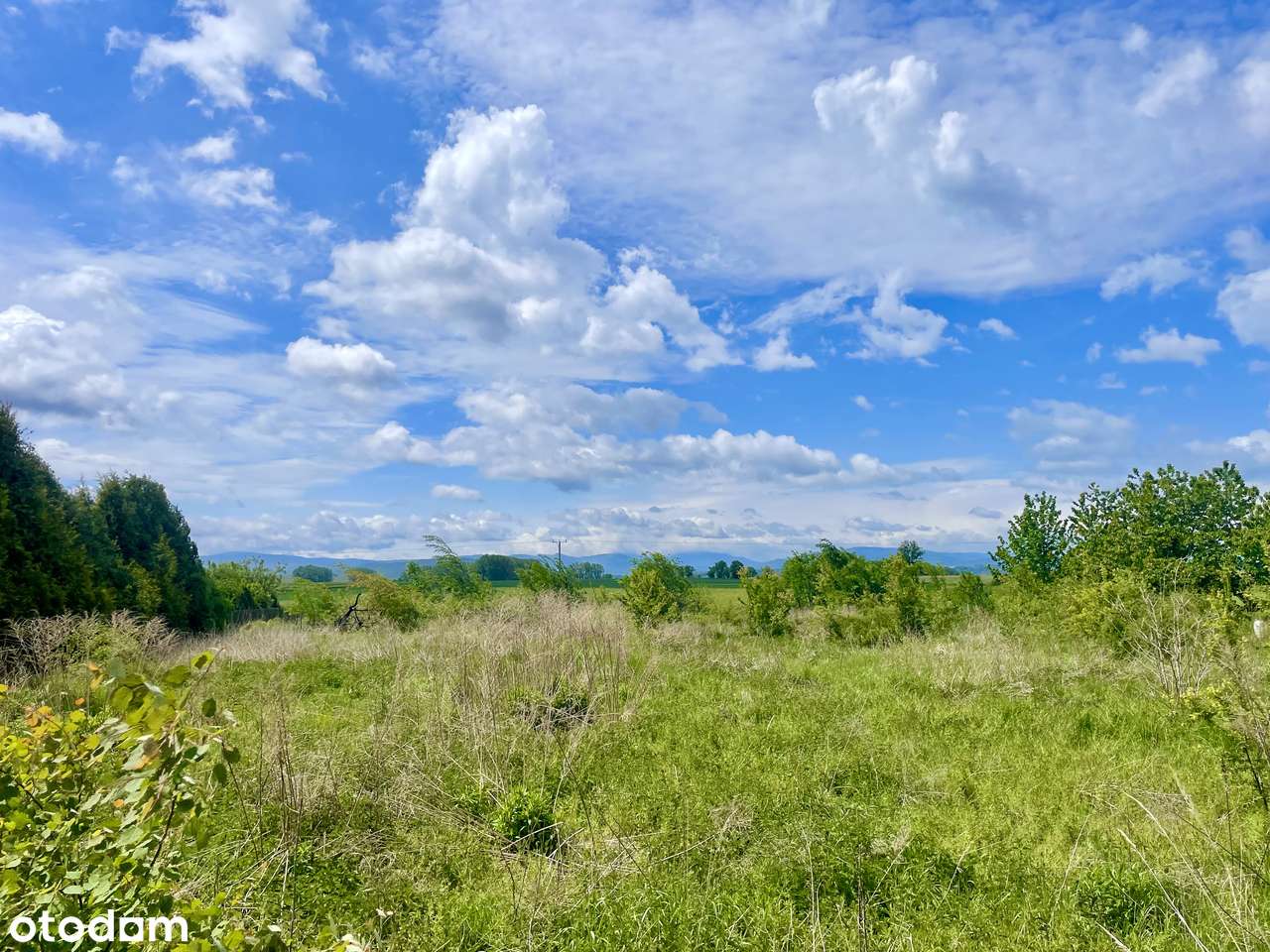 Siedlisko z Widokiem na Góry - 40 Arów-3