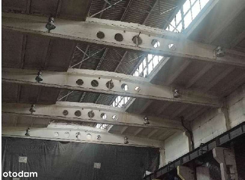 Syndyk sprzeda: działki z halą produkcyjną-2