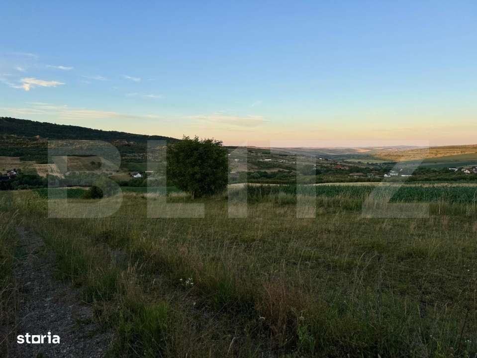 Teren extravilan in zona Dealul Fanatelor-Clyde Town - Imagine principală: 2/3