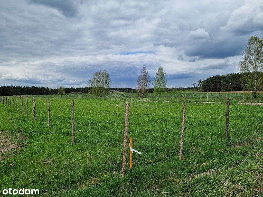 Henrykowo – Raj wśród zieleni, spokój i natura-10